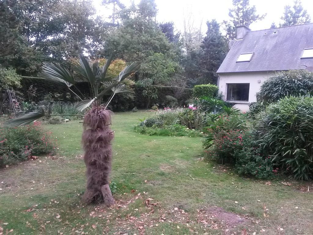 Chambres d'Hôtes Les Mimosas Sables-dʼOr-les-Pins Exterior foto